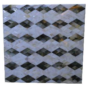 Shell Mosaic (5)