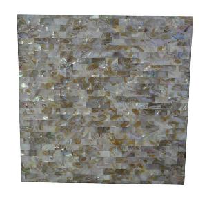 Shell Mosaic (1)