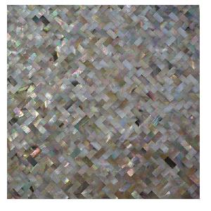 Shell Mosaic (15)