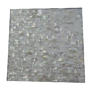 Shell Mosaic (16)