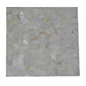 Shell Mosaic (24)