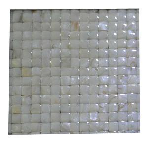 Shell Mosaic (23)