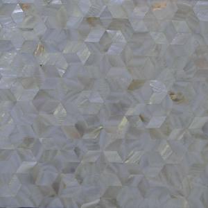 Shell Mosaic (28)