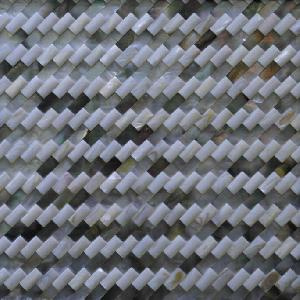 Shell Mosaic (29)
